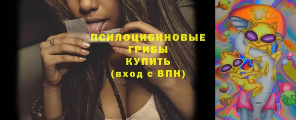 СК Алексеевка