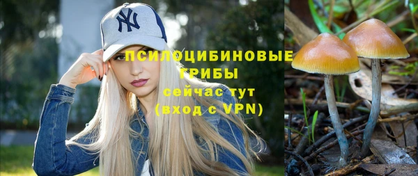 Альфа ПВП Алзамай