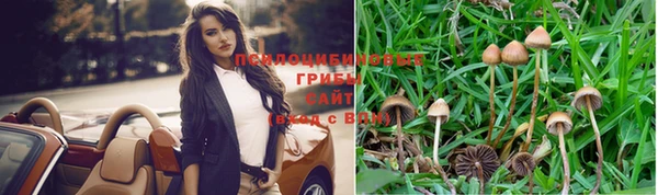 Альфа ПВП Алзамай