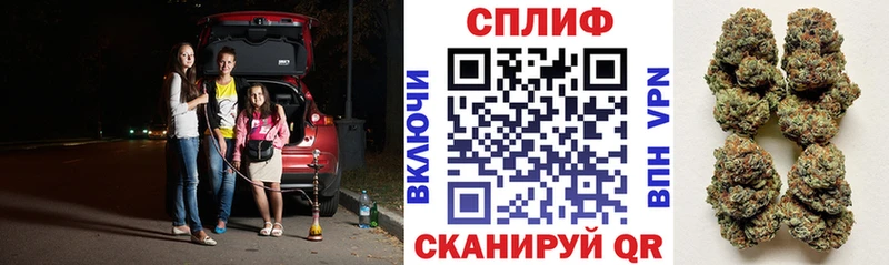 Конопля SATIVA & INDICA  МЕГА маркетплейс  Лабинск 